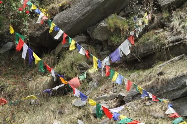 Buddhist prayer flags — Stock Photo, Image