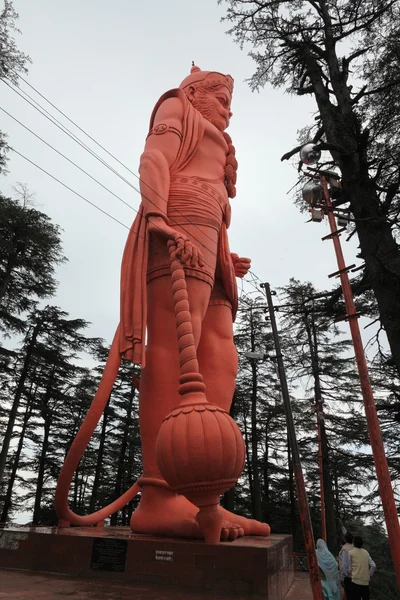 猴神寺的西姆拉在印度 — 图库照片