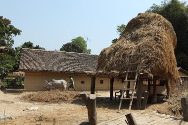 Tarım Nepal