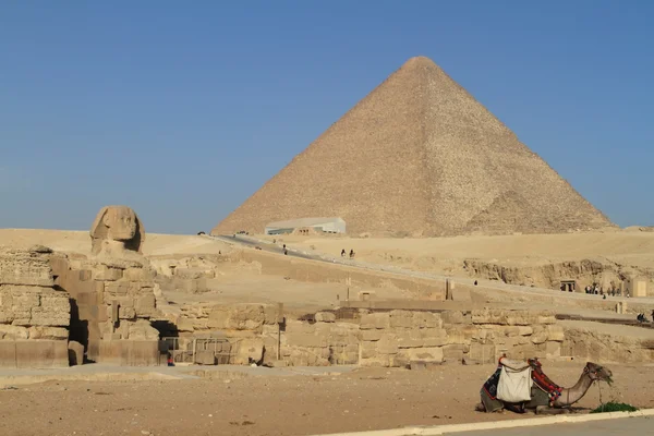 Les pyramides et le sphinx d'Egypte — Photo