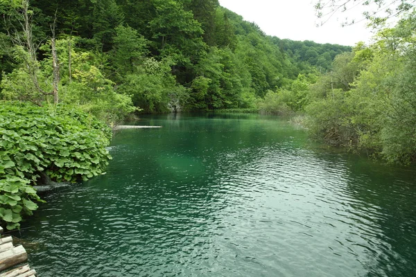 Plitvicemeren in Kroatië — Stockfoto