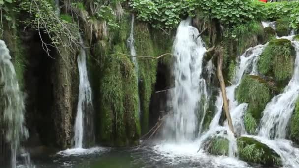 Vízesés a Plitvicei tavak Nemzeti Park-Horvátország — Stock videók