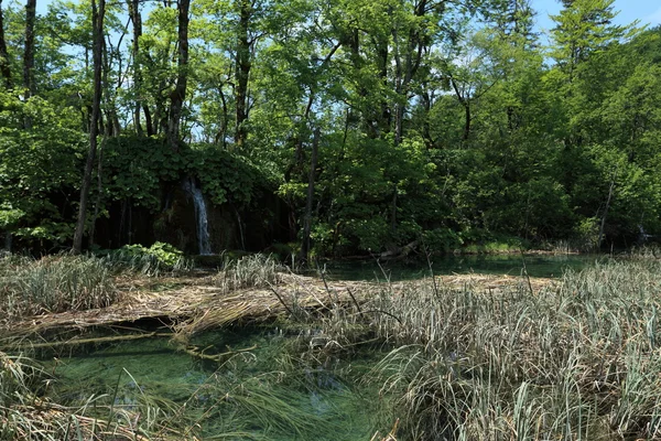 Plitvice Gölleri Milli Parkı ve şelaleler Hırvatistan — Stok fotoğraf