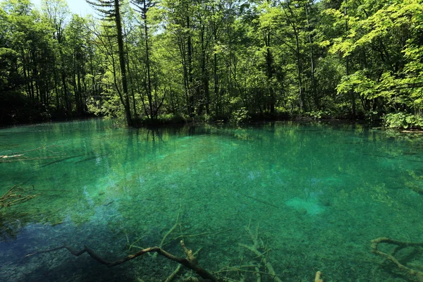 十六湖国家公园和克罗地亚的瀑布 — 图库照片