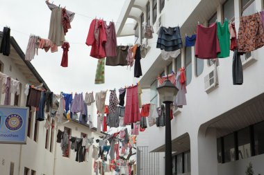 KIRSTENBOSCH Güney Afrika clothesline