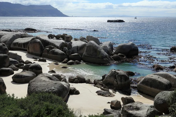 The Landscape of the Cape of Good Hope in South Africa — Stock Photo, Image