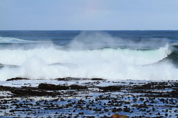 Surf na wybrzeży Republiki Południowej Afryki — Zdjęcie stockowe