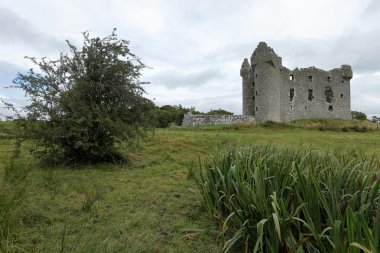 Monea Castle İrlanda
