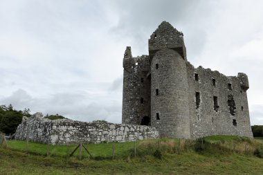 Monea Castle İrlanda