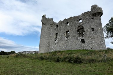 Monea Castle İrlanda