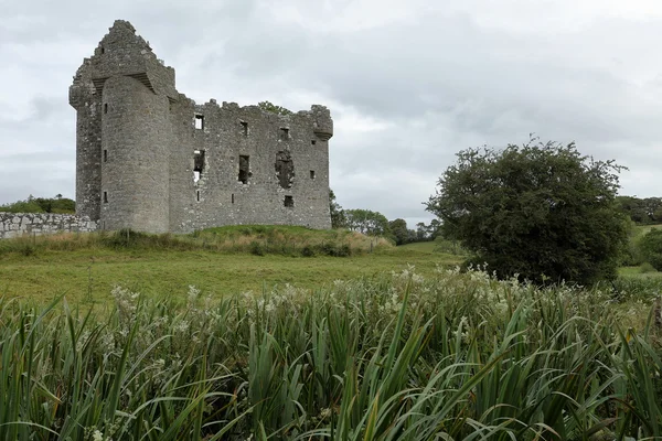 Monea Castle İrlanda — Stok fotoğraf