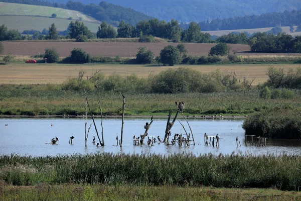 Nature reserve Rhaeden in Obersuhl — Stock Photo, Image