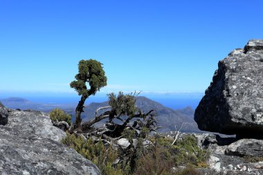 Table Mountain yakınındaki Cape Town Güney Afrika