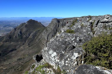 Table Mountain yakınındaki Cape Town Güney Afrika
