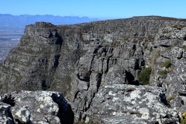 Table Mountain yakınındaki Cape Town Güney Afrika