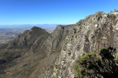 Table Mountain yakınındaki Cape Town Güney Afrika