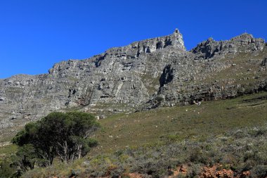 Table Mountain yakınındaki Cape Town Güney Afrika