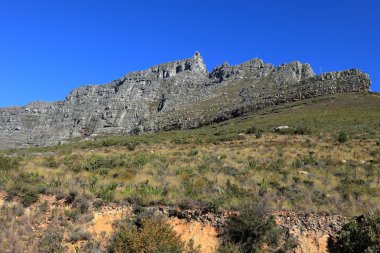 Table Mountain yakınındaki Cape Town Güney Afrika