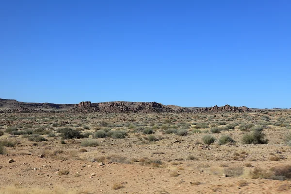 Der reichste Nationalpark in Namibia — Stockfoto