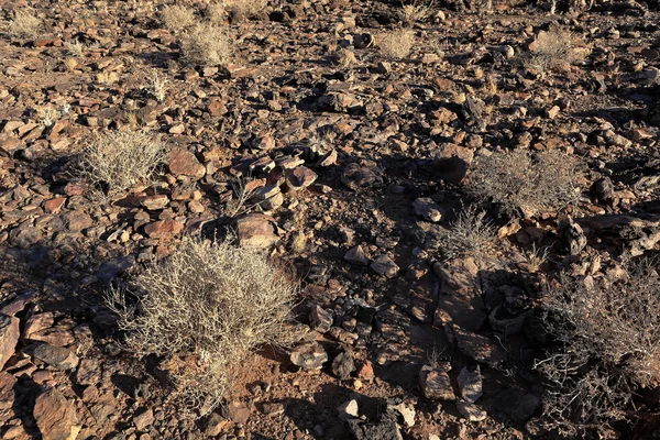 The Kalahari in Namibia — Stock Photo, Image