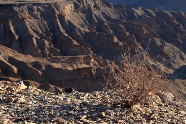 Der fish river canyon in namibia — Stockfoto