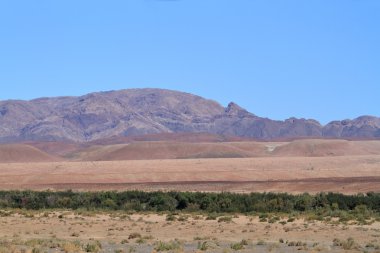 Richtersveld Milli Park alanında Namibya