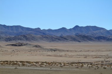 Richtersveld Milli Park alanında Namibya
