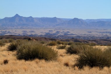 Richtersveld Milli Park alanında Namibya
