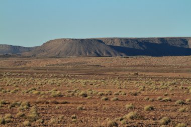 Richtersveld Milli Park alanında Namibya