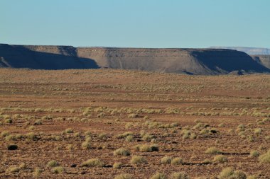 Richtersveld Milli Park alanında Namibya
