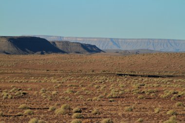 Richtersveld Milli Park alanında Namibya