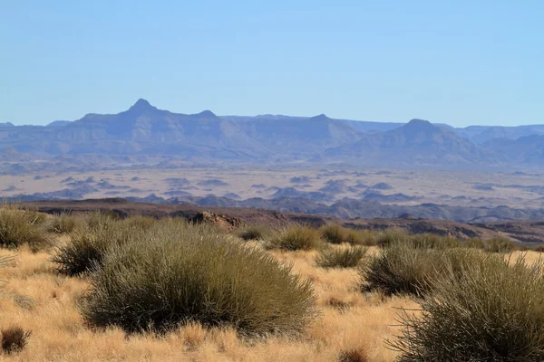 A Richtersveld nemzeti parkban Namíbia — Stock Fotó