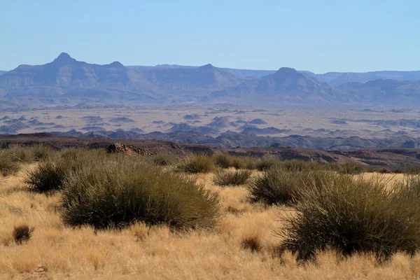 Het Richtersveld National Park in Namibië — Stockfoto