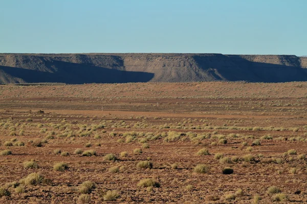 O Parque Nacional Richtersveld na Namíbia — Fotografia de Stock