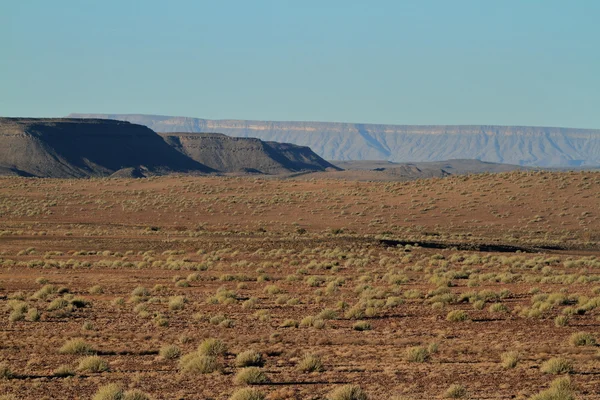 在纳米比亚 Richtersveld 国家公园 — 图库照片