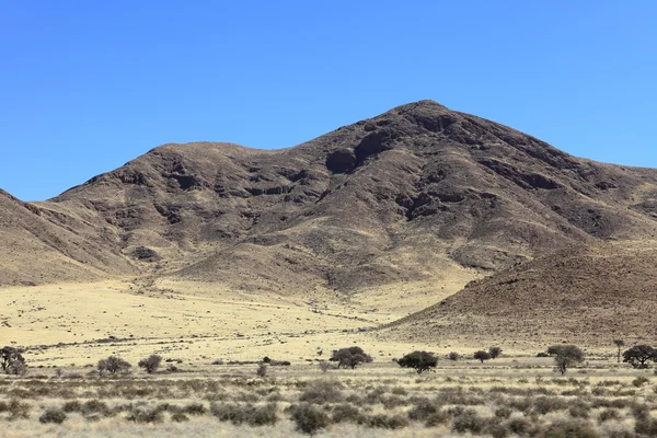 Savannah krajina v Namibii — Stock fotografie