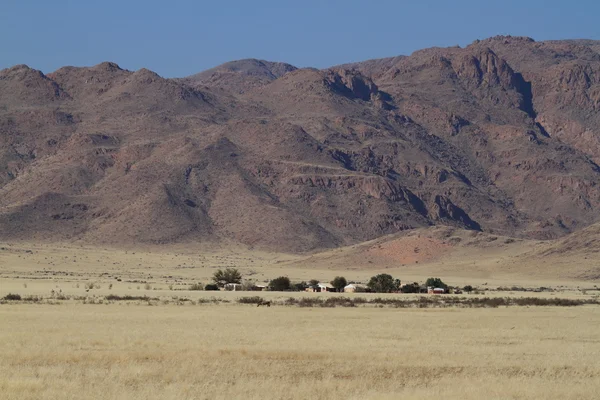 나미비아에서 사바나 풍경 — 스톡 사진