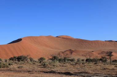 Namib Çölü Deadvlei ve Sossusvlei Namibya
