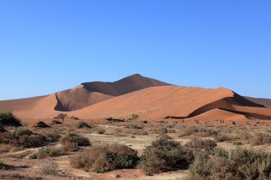 The Namib desert with the Deadvlei and Sossusvlei in Namibia clipart