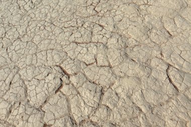 Namib Çölü Deadvlei ve Sossusvlei Namibya