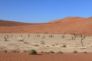 Namib Çölü Deadvlei ve Sossusvlei Namibya