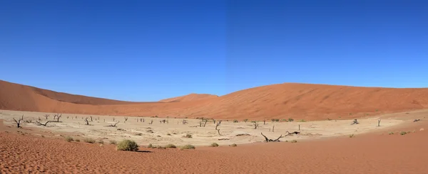 与 Deadvlei 和苏斯在纳米比亚纳米布沙漠 — 图库照片