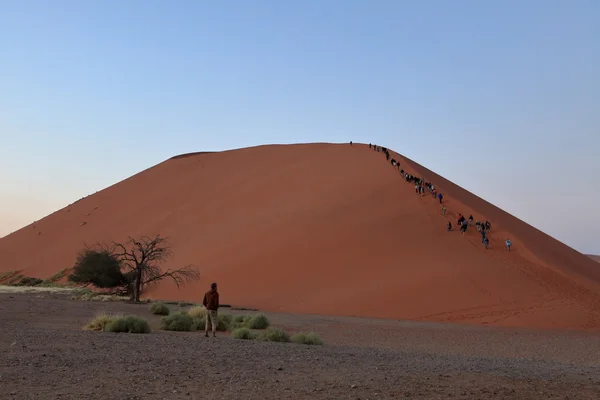 El desierto de Namib con los Deadvlei y Sossusvlei en Namibia — Foto de Stock