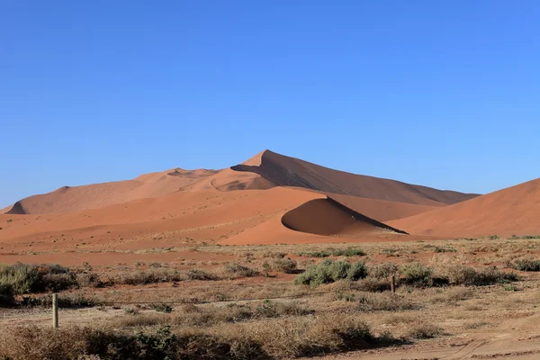 O deserto da Namíbia com o Deadvlei e Sossusvlei na Namíbia — Fotografia de Stock