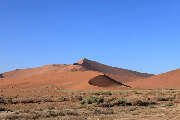 Na pustyni Namib z Deadvlei i Sossusvlei w Namibii — Zdjęcie stockowe