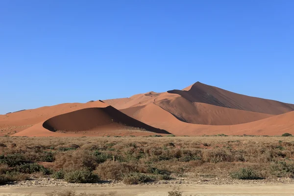 O deserto da Namíbia com o Deadvlei e Sossusvlei na Namíbia — Fotografia de Stock