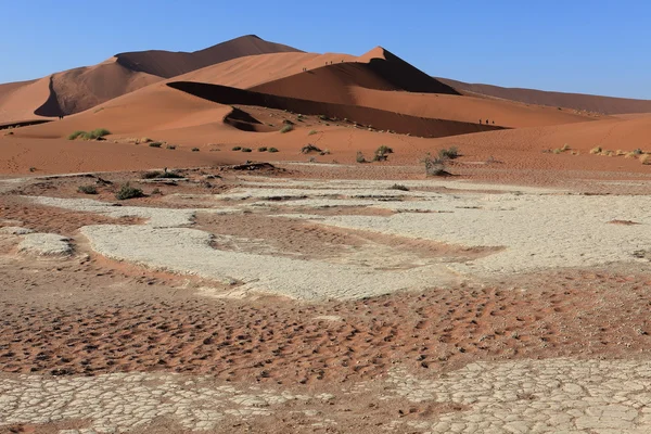 El desierto de Namib con los Deadvlei y Sossusvlei en Namibia — Foto de Stock