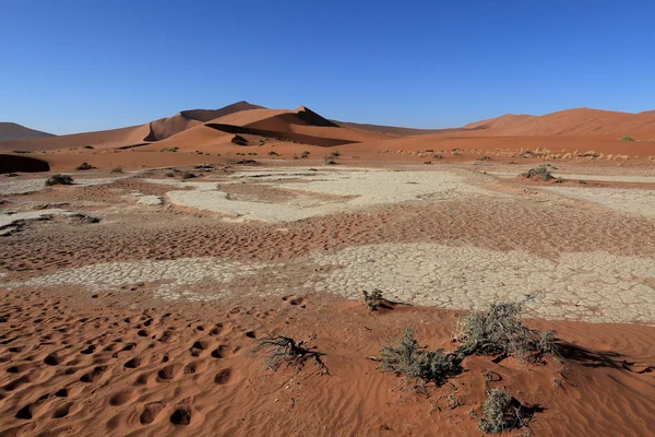 与 Deadvlei 和苏斯在纳米比亚纳米布沙漠 — 图库照片