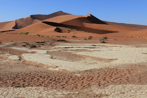 O deserto da Namíbia com o Deadvlei e Sossusvlei na Namíbia — Fotografia de Stock