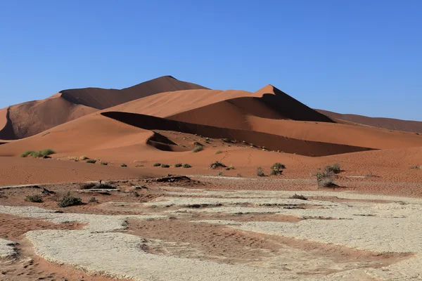 O deserto da Namíbia com o Deadvlei e Sossusvlei na Namíbia — Fotografia de Stock